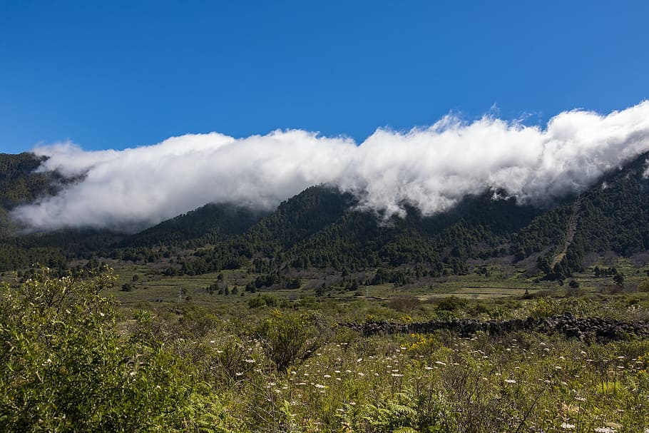 clouds, mountains, landscape, sky, hill, nature, mood, plant HD wallpaper