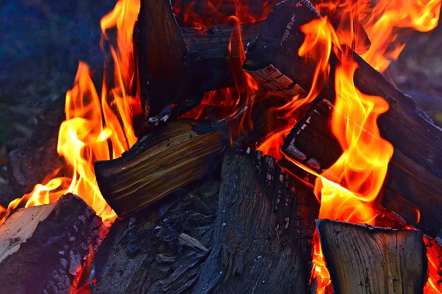 fire, campfire, burns, flame, flames, at night, red, burning HD wallpaper