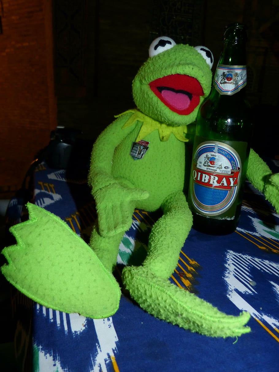 kermit, frog, beer, drink, winter, toy, animal representation HD wallpaper