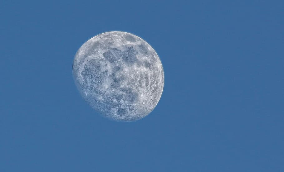 selective focus photo of gray moon, shallow, photography, sky HD wallpaper