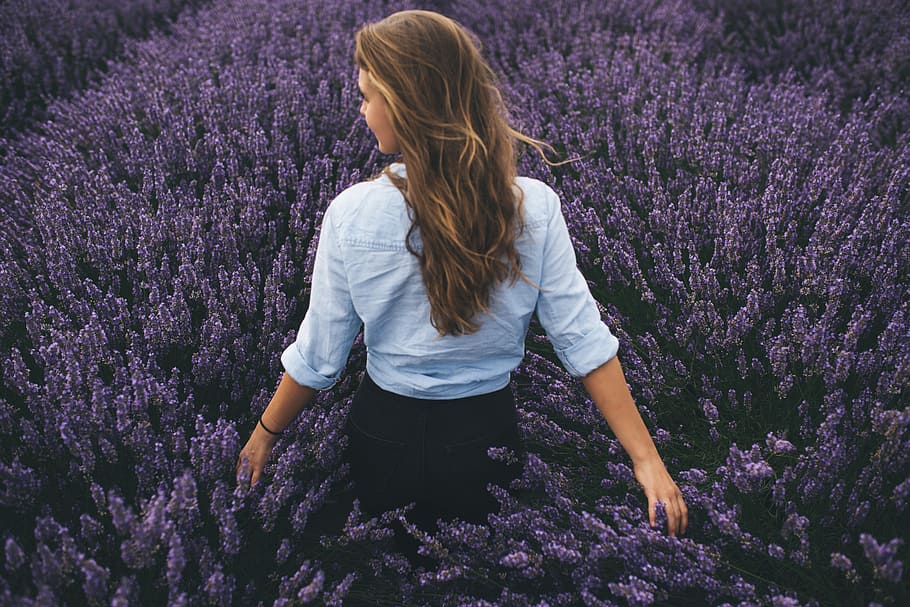 woman walking on lavender field, standing woman surrounded by lavender flower during daytime