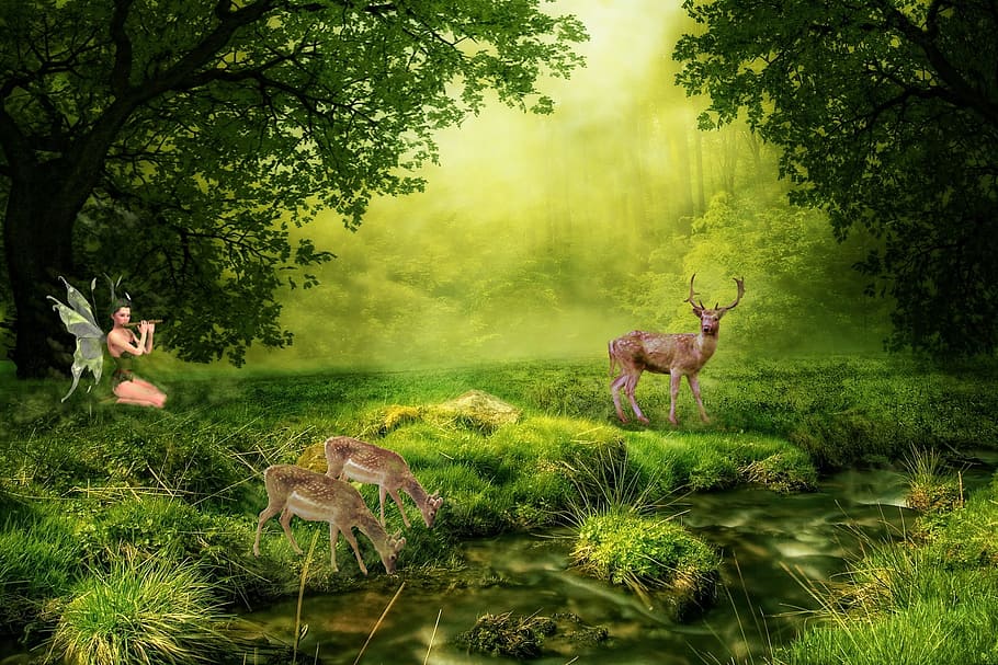 fairy playing float near lake with deer digital wallpaper, nature