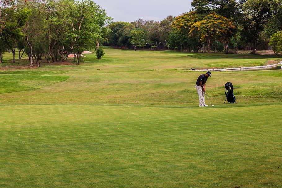 man playing golf on field, Golf, Course, Golf Course, golfing, HD wallpaper