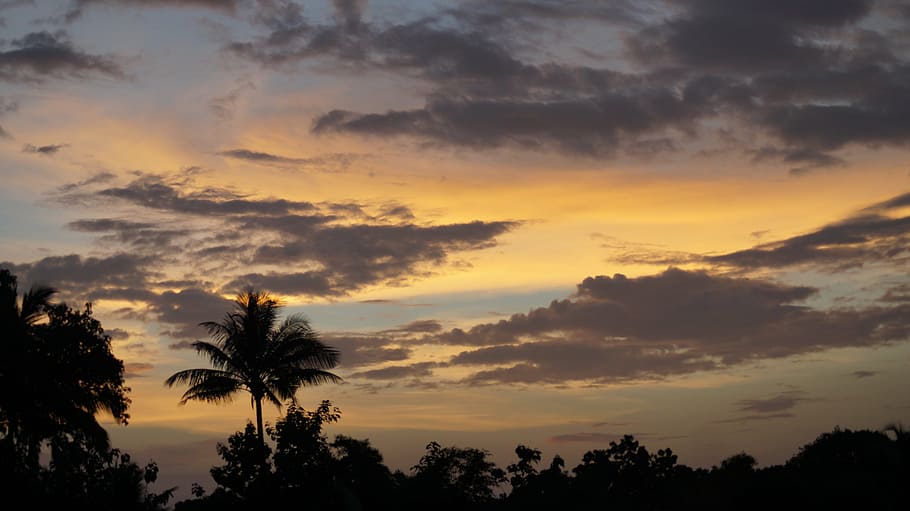 tree, cloud, sky, dark, nature, natural, weather, fresh, scenery HD wallpaper