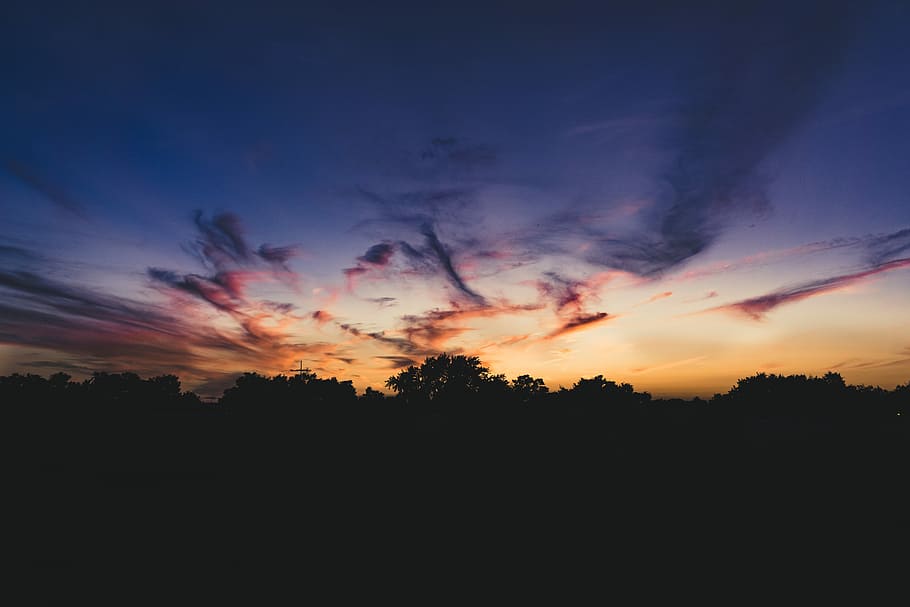 silhouette of trees under orange and gray sky, orange and blue sky during nighttime, HD wallpaper