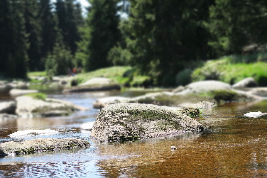 rock, stone, river, poland, water, tree, plant, solid, forest HD wallpaper