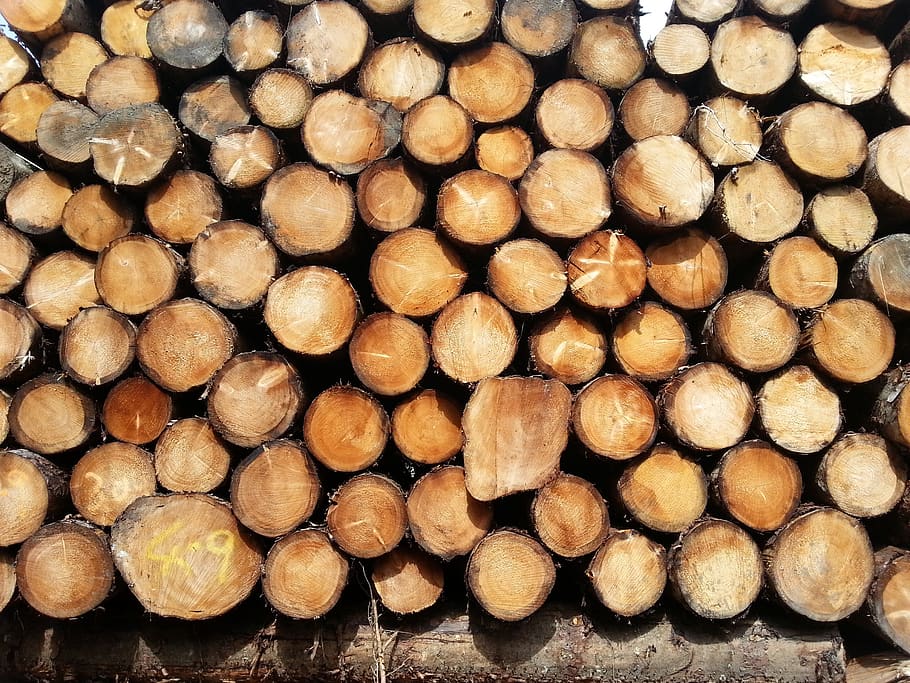 wood, trees, tribes, firewood, timber, log, large group of objects HD wallpaper