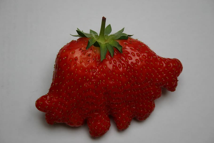 strawberry fruirt, fruit, red, rare form, studio shot, healthy eating HD wallpaper