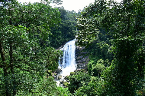 Waterfall, India, Forest, Munnar, Kerala, flowing water, motion HD wallpaper