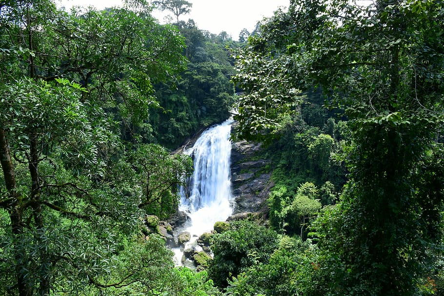Waterfall, India, Forest, Munnar, Kerala, flowing water, motion HD wallpaper