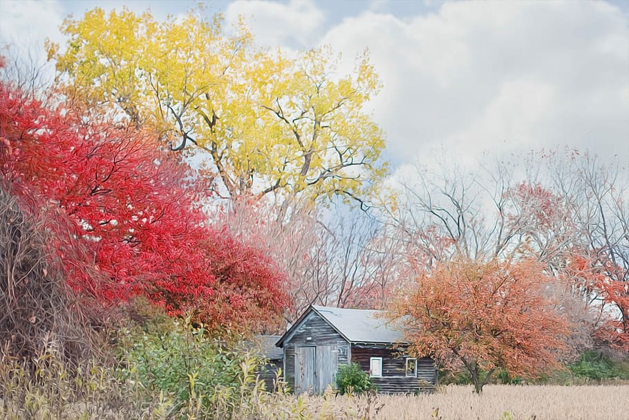 grey wooden house in front of red and yellow leaves tress taken during day time HD wallpaper
