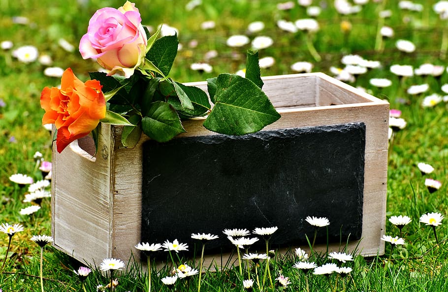 grey wooden crate, roses, gift, board, greeting card, all the best, HD wallpaper