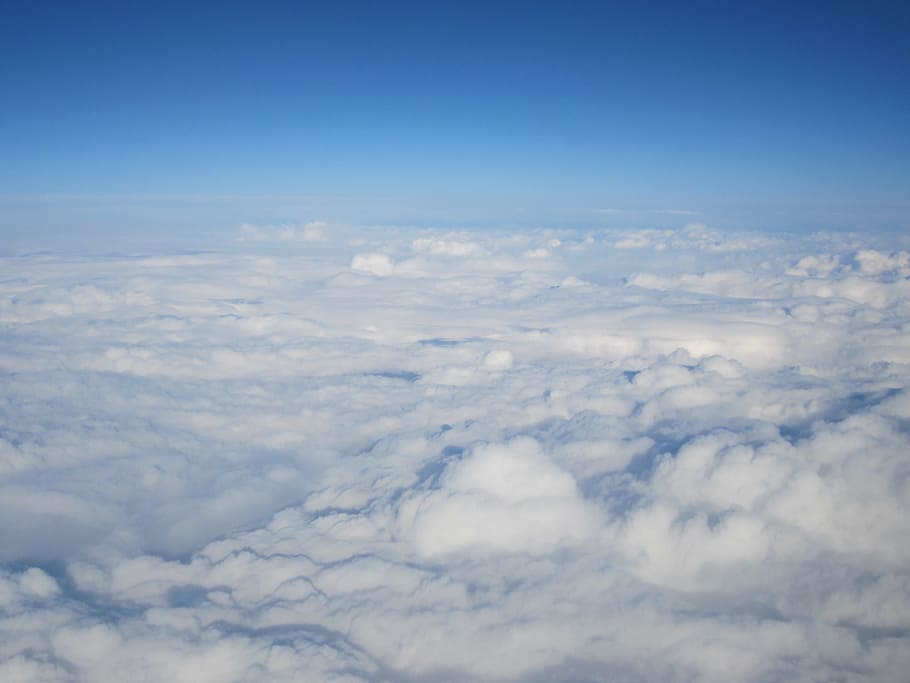 white clouds, sky, above the clouds, selva marine, clouds animals HD wallpaper