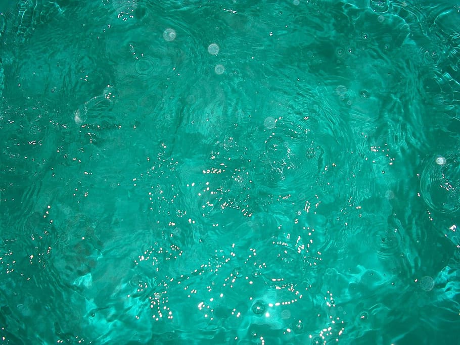 water, rain, green, clear, liquid, wet, drop, droplets, raindrop HD wallpaper
