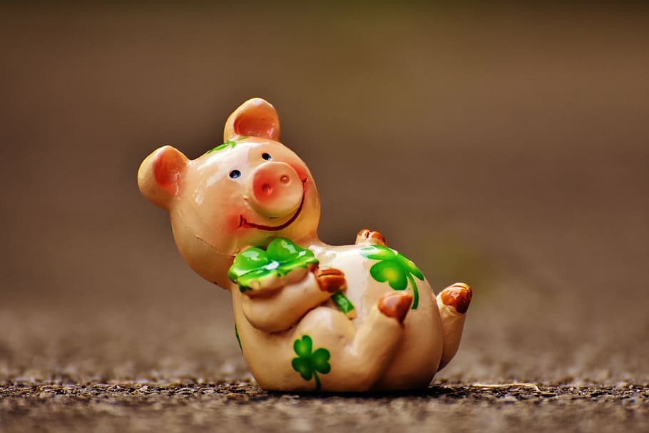 shallow focus photography of brown ceramic pig figurine, lucky pig, HD wallpaper