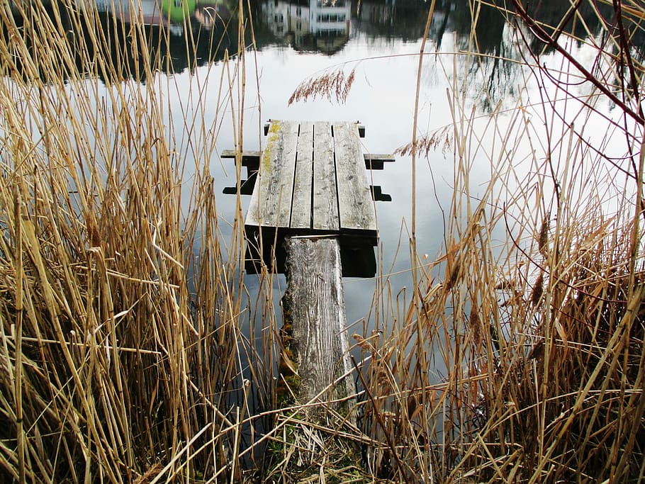 Waters, Pond, Hauptwil, Web, Boardwalk, reed, mirroring, thurgau HD wallpaper