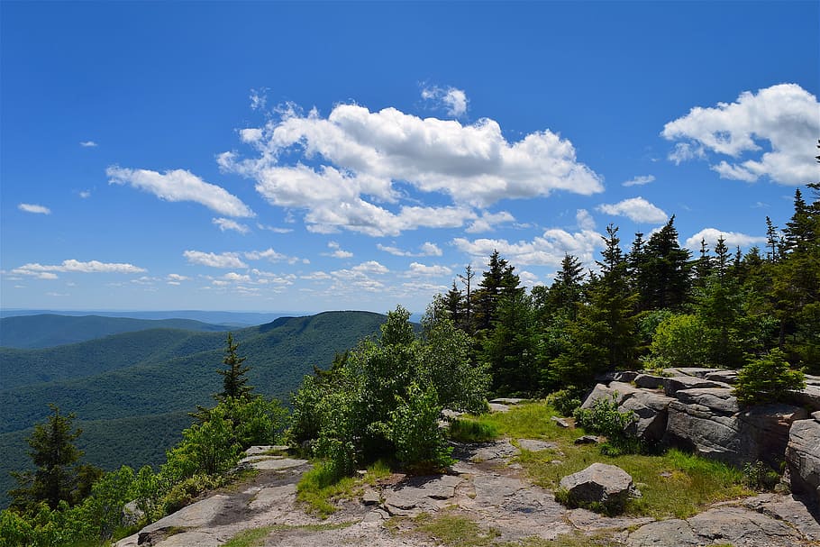 Mountainside, Clouds, View, Trees, Pine, landscape, nature HD wallpaper