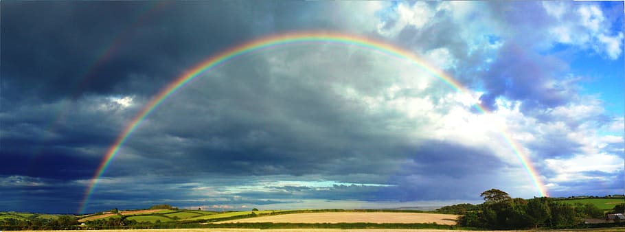 rainbow under blue sky, tall, tress, beautiful, devon, nature HD wallpaper