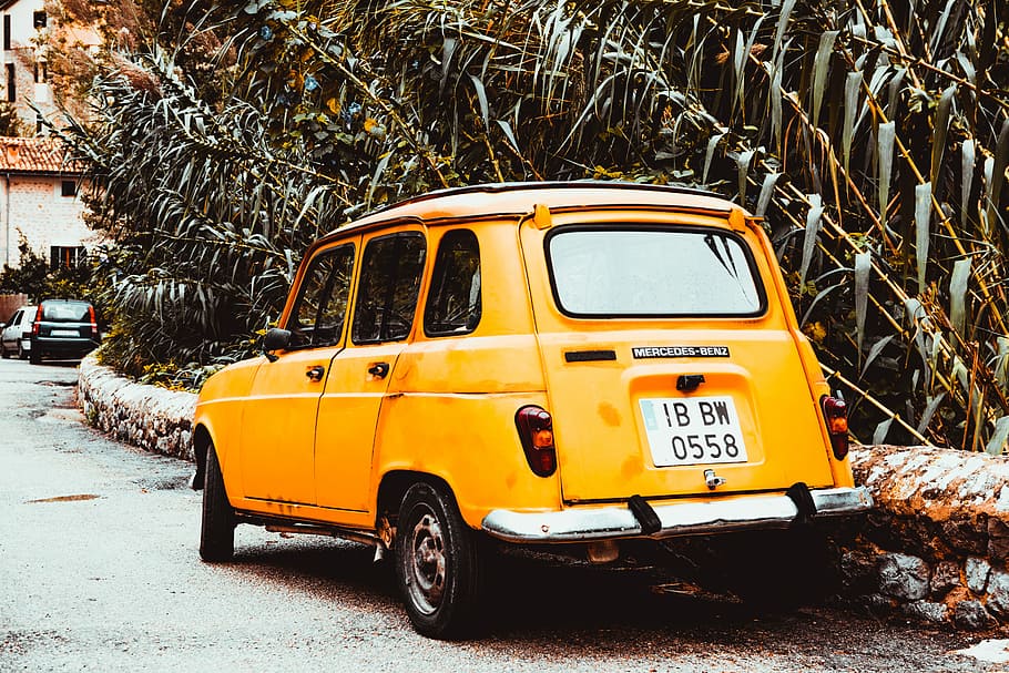 yellow car parked beside green tree, orange vehicle park on street near plants HD wallpaper