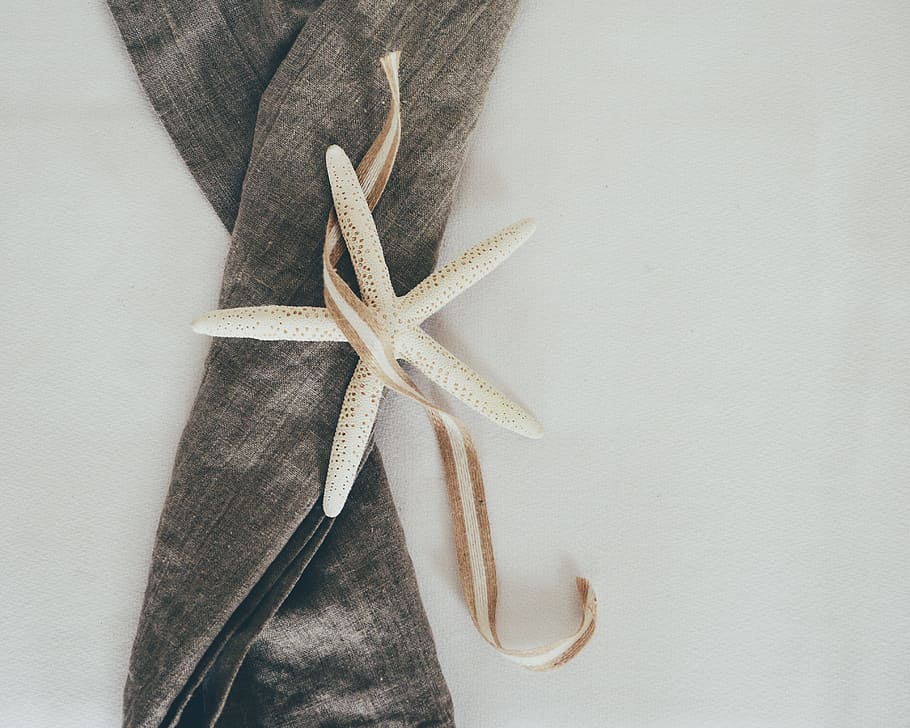 starfish, looking down, from above, linen, still life, nature HD wallpaper