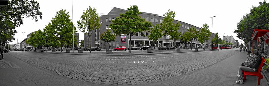 panorama, kiel, stop, bus, bus stop, city, tree, street, plant HD wallpaper