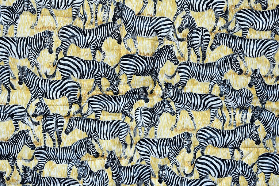 pattern, desktop, abstract quilt zebra, full frame, no people, HD wallpaper