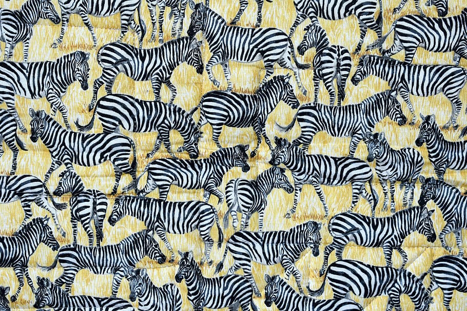 pattern, desktop, abstract quilt zebra, full frame, no people HD wallpaper