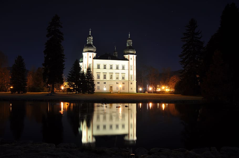 night, image, reflection, tree, built structure, illuminated HD wallpaper