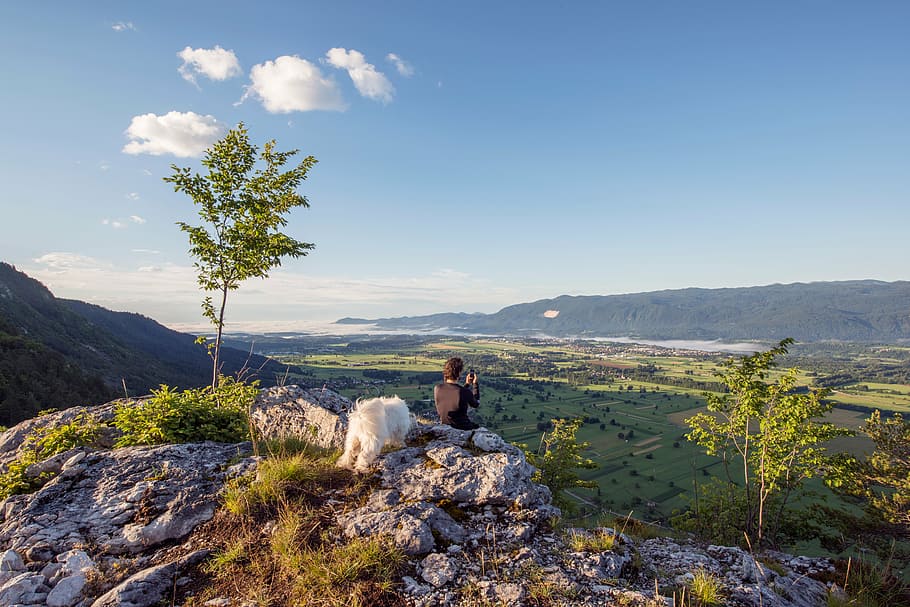 man sitting on boulder near tree, nature, landscape, trees HD wallpaper