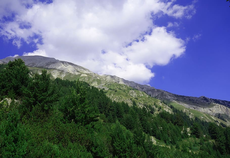 nature, panoramic, mountain, sky, landscape, wood, plant, tree HD wallpaper