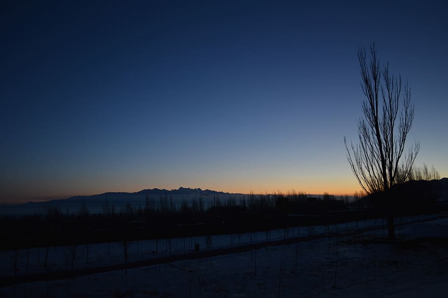 Views, Night View, Night Sky, the night sky, winter, tranquil scene HD wallpaper