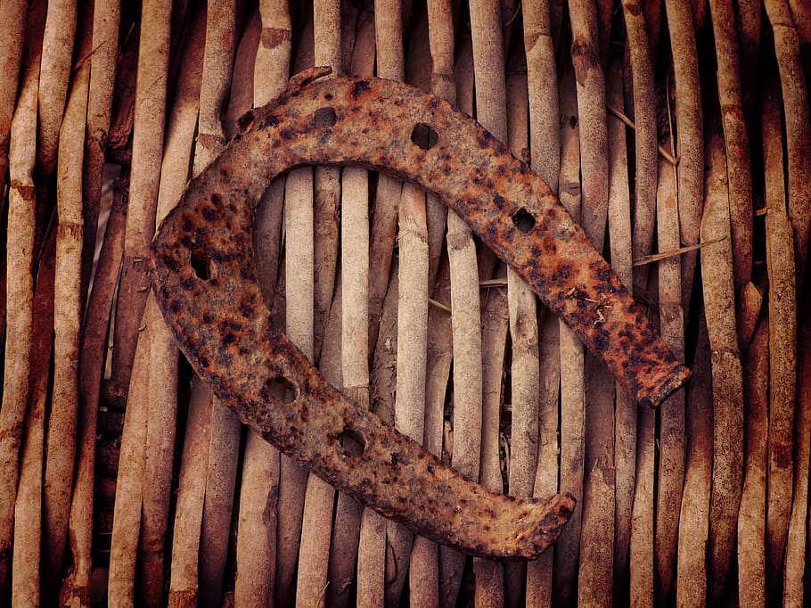 Rusted Horseshoe Art Print by A.t. I Images - Photos.com