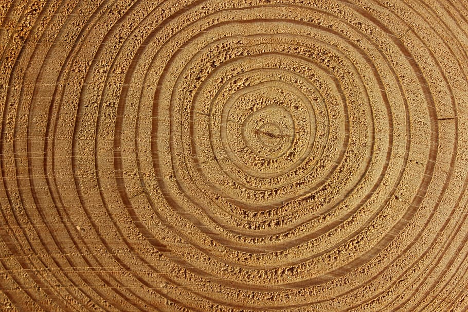brown desert, wood, tree bark, log, structure, background, pattern, HD wallpaper