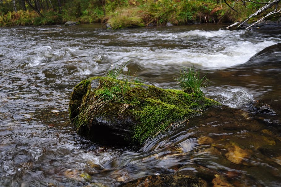 Water, River, Flowing, Rocks, Stones, mosses, rapids, streams HD wallpaper