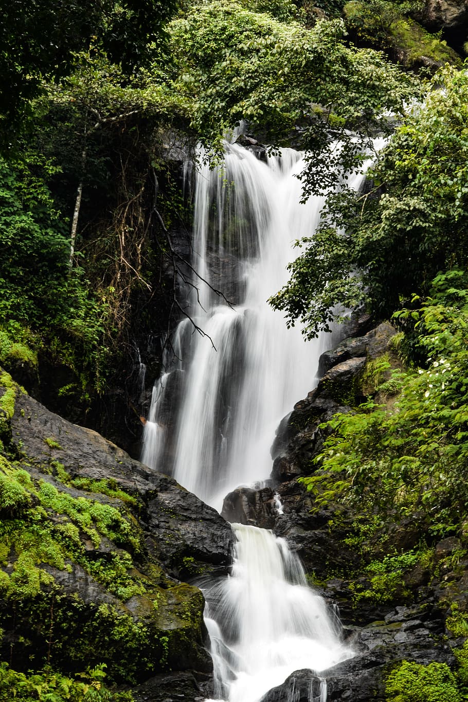time lapsed photo of river, waterfall, nature, scenic, stream HD wallpaper