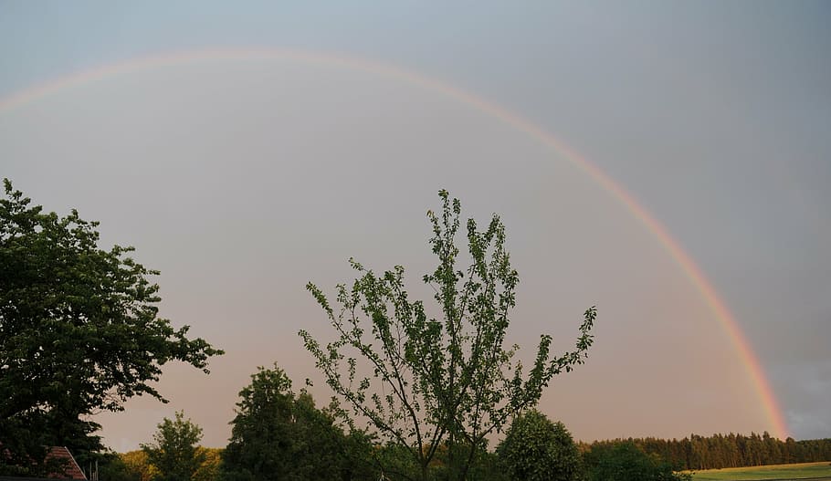 rainbow, nature, thunderstorm, evening, sky, color, natural spectacle HD wallpaper