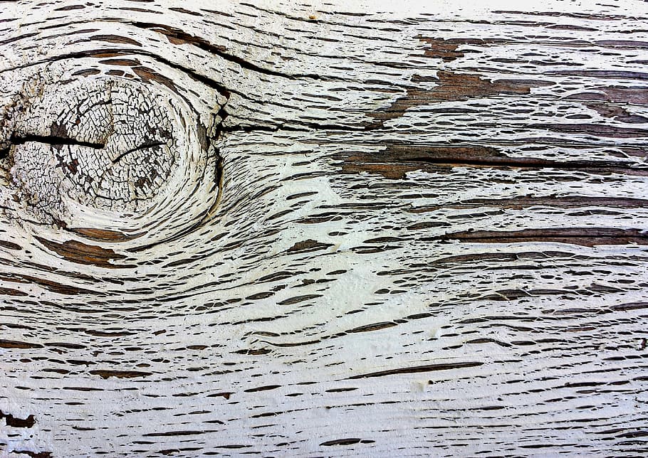 close up photography of gray wood slab, old wood, knot, texture, HD wallpaper