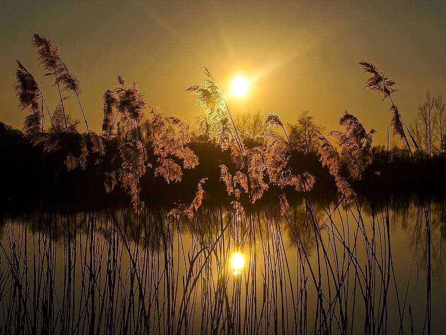 Sunset, Landscape, Nature, lake, silhouette, dusk, summer, sunlight HD wallpaper