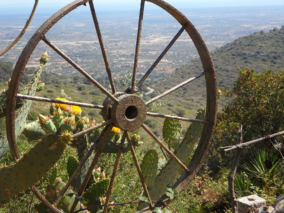 Spokes, Wagon Wheel, Vision, outlook, metal, landscape, mediterranean HD wallpaper