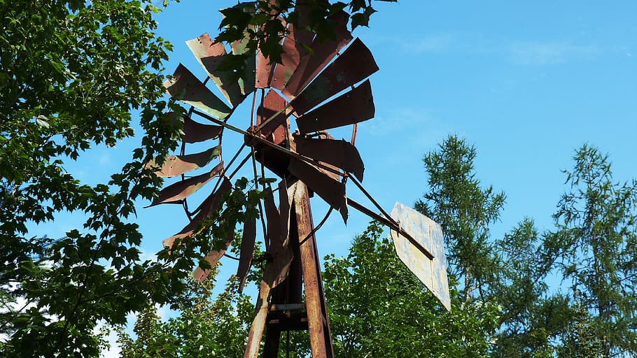 old, mill, former, nature, forest, tree, low angle view, sky HD wallpaper