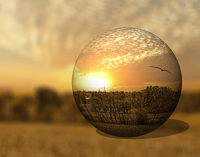 mirror photography of green leafed trees, scenery, 3d, artistic HD wallpaper