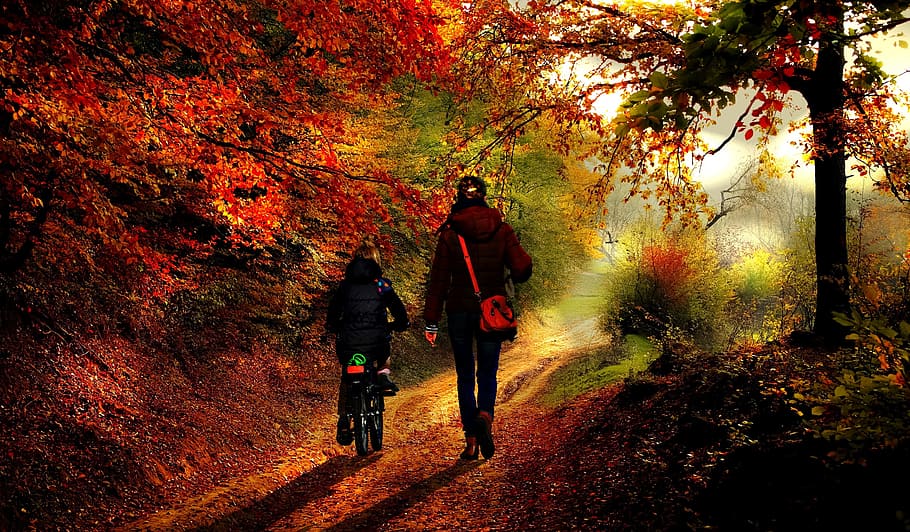 person walking on pathway, mother, daughter, autumn, family, happy