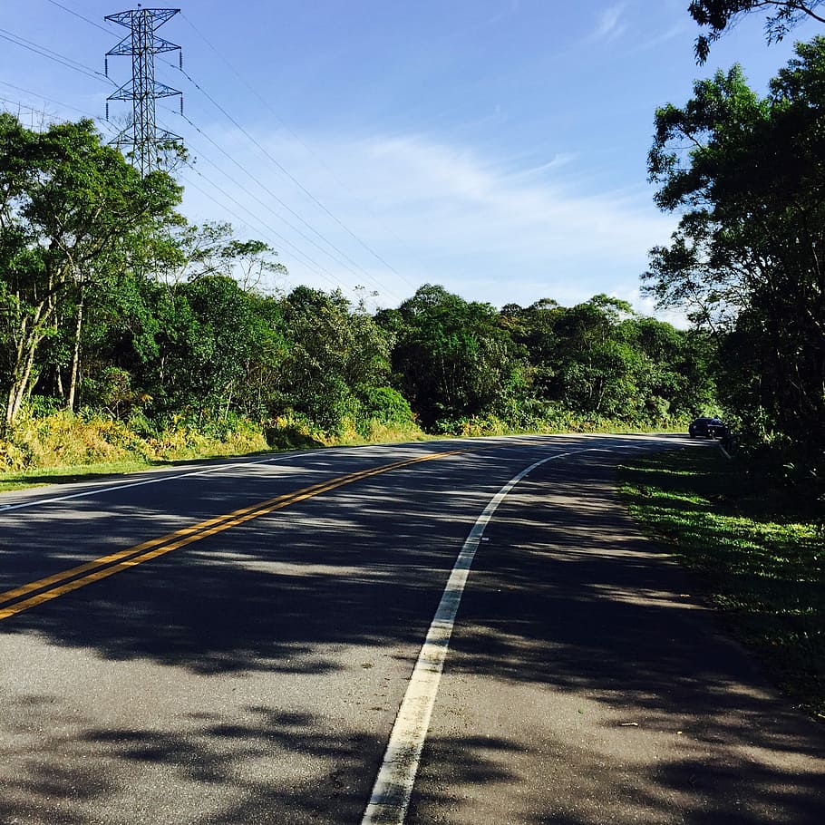 Road, Coasting, Landscape, tree, transportation, the way forward HD wallpaper