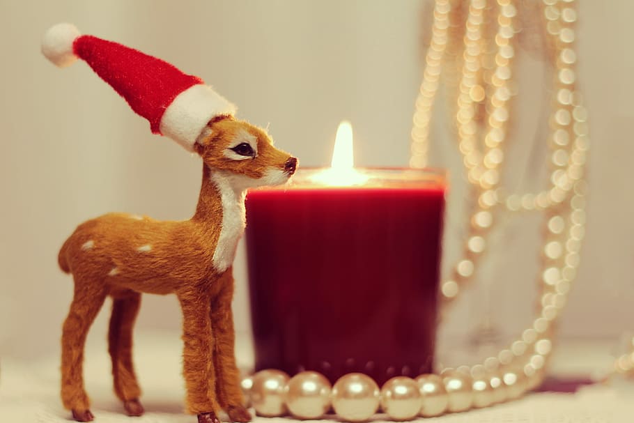 deer in red and white hat beside red lighted candle white beaded necklace photography HD wallpaper