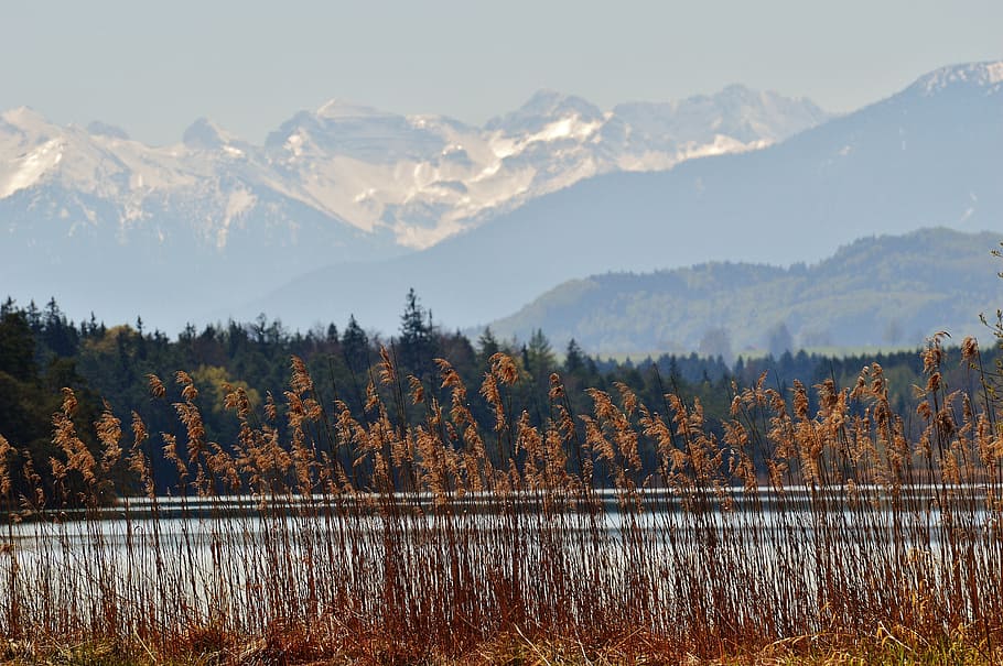 landscape, easter lake, iffeldorf, romantic, mountains, water HD wallpaper