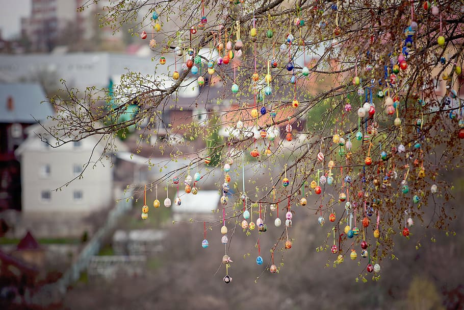 selective focus photography of tree hanging decors, houses HD wallpaper
