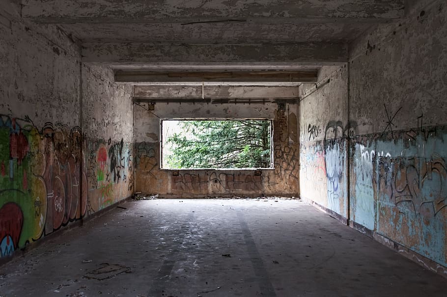 gray tenement with graffiti, background, building, leave, old HD wallpaper