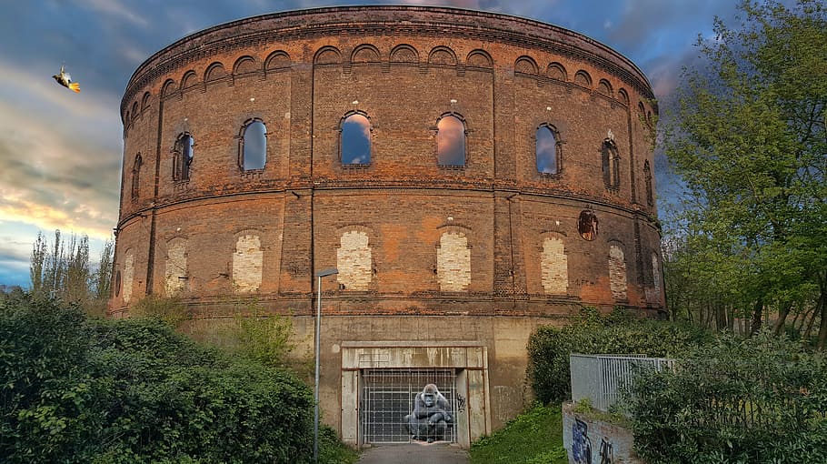 prison, gasometer, monkey, architecture, built structure, tree HD wallpaper