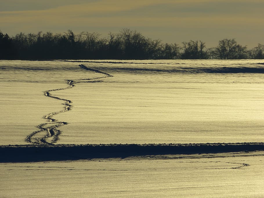 Winter, Snow, Traces, Clouds, sky, evening sun, nature, landscape HD wallpaper