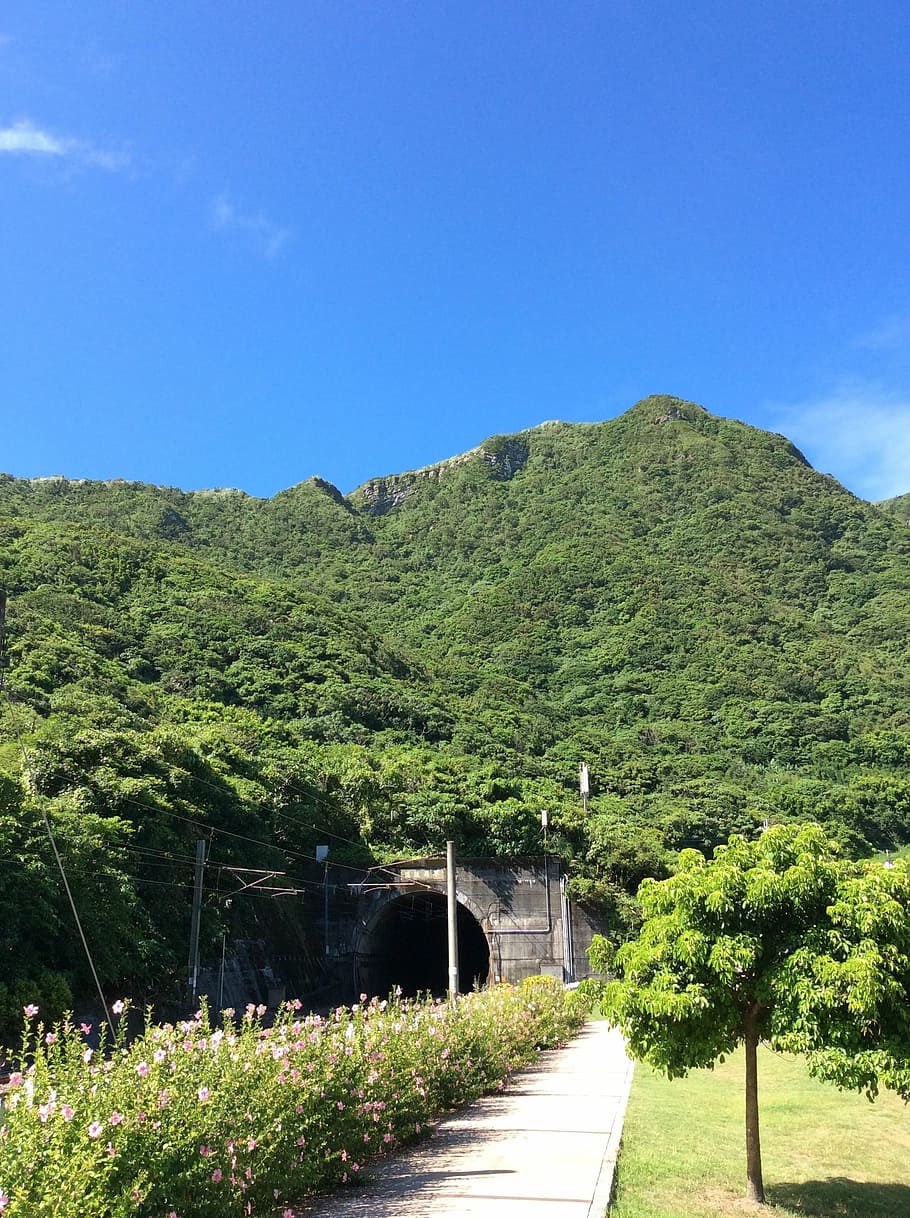 mountain, tunnel, trees, nature, green Color, plant, outdoors HD wallpaper